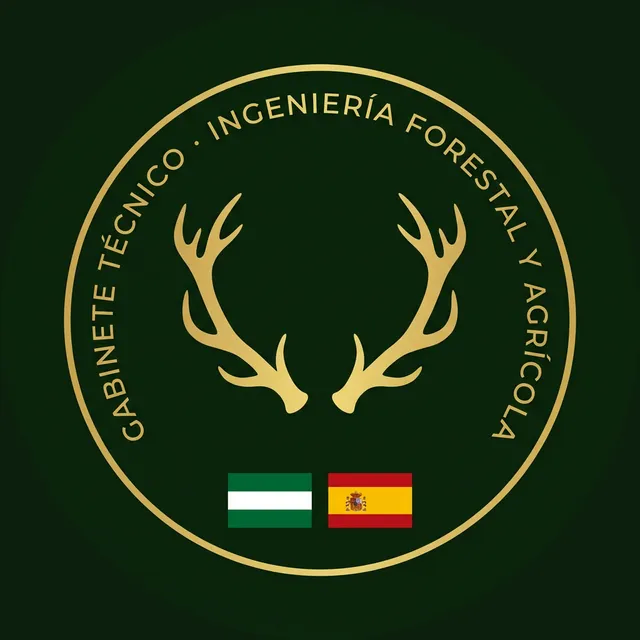 Logotipo del Gabinete Técnico Maldonado